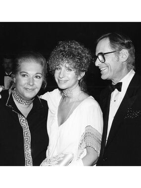 Vintage Celebrity Oscar Winning Singwriter’s Dress